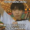 MEME BUCIN 11