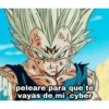 peleare para que te vayas de mi cyber