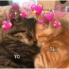 Gatitos de amor 😺💘💞 3