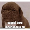 caguei duro machucou o cu funny.co