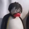 PINGUZADA 😜🐧 9