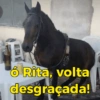 Reações + cavalos 🐎 20