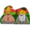 Somos tan viejos