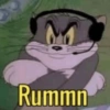 Rummn