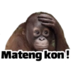 Mateng kon!