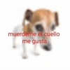 muerdeme el cuello me gusta