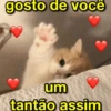 gosto de você um Num tantão assim