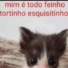 mim é todo feinho tortinho esquisitinho