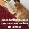 REMARDUS quien fuera libro para que me abras encima de la mesa