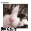 @josephlobatoo Ow Gzuis