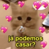 🐈‍⬛ Cat  Cats 💕7 17
