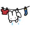 Usagi 3 🤍 11