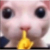 Pa' Responder Shitpost 💩 11
