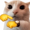 🐈‍⬛🐱🧶 GATOS | CATS 5 🧶🐱🐈‍⬛ 23