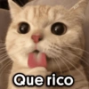 oror 31 Que rico
