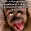 🙊😜🔥 Funny Monkey 🔥😜🙊 17