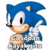SONIC SI PEMARAH 14