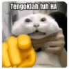 Tengoklah tuh HA