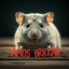 AMOS BRICCAR