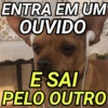 ENTRA EM UM OUVIDO E SAI PELO OUTRO