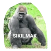 Goril goril 25