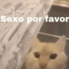 Sexo por favor