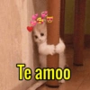 Te amoo