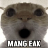 MANG EAK