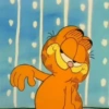 Garfield Cat 9
