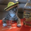 Premium 135 Trquite Jose Cuervo Especial 1810 Weibo en Mexico