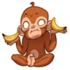 Monkey 14