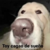 Toy cagao de sueño