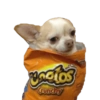Memes pa’ no pelear v2 16