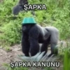 Goril goril 10