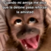 🙊😜🔥 Funny Monkey 🔥😜🙊 20