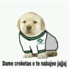 conalep
Dame croketas o te nabajeo jajjaj