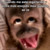 🙊😜🔥 Funny Monkey 🔥😜🙊 24