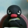 Pinguino random  7