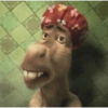 Burro do Shrek 11