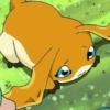🍃 DIGIMON MOODS 🍃 11