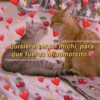 Gatitos para pareja 29