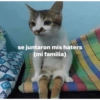 Et se juntaron mis haters (mi familia)