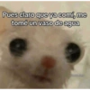 Pues claro que ya comí, me tomé un vaso de agua 4