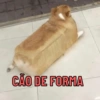 CÃO DE FORMA