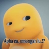 Dino Kuning 13