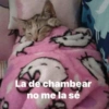 La de chambear no me la sé