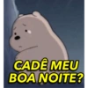 CADÊ MEU BOA NOITE?