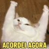 ACORDEI AGORA