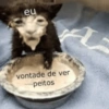 eu vontade de ver peitos L