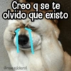 Creo q se te olvido que existo